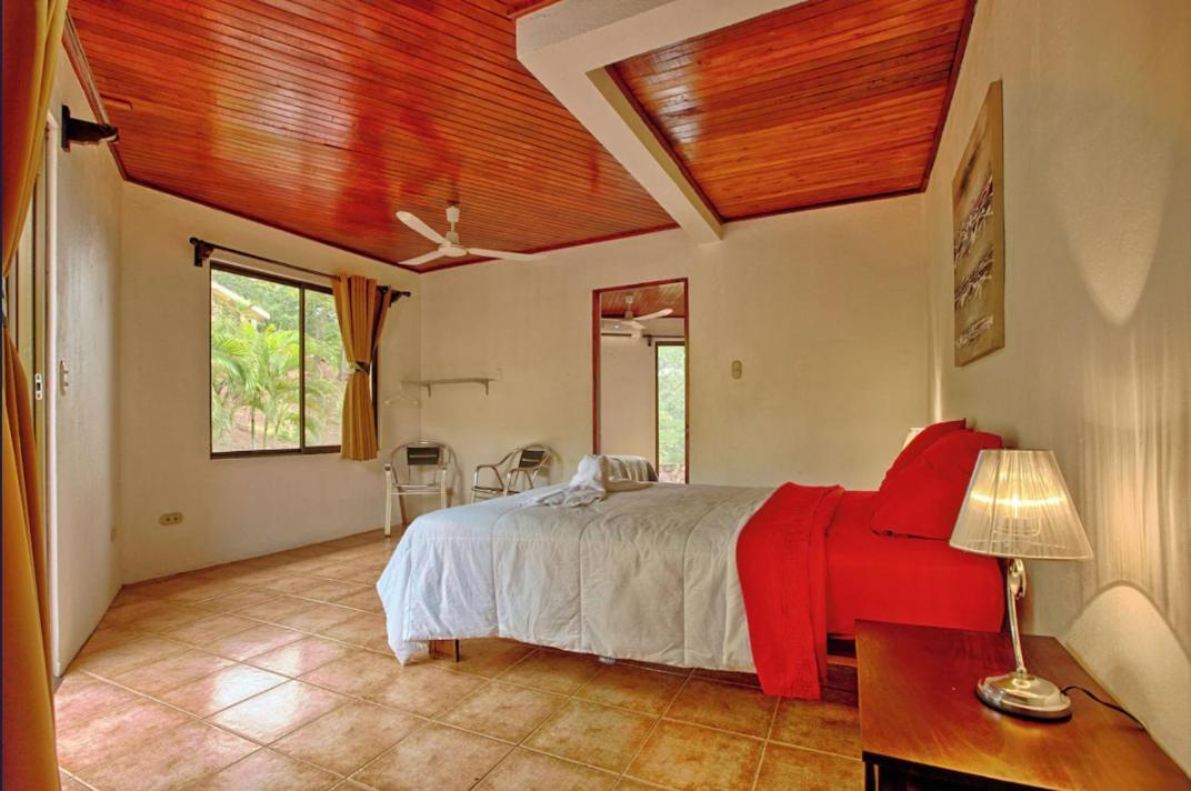 Vista Condor Lodge Puerto Viejo de Talamanca Eksteriør billede