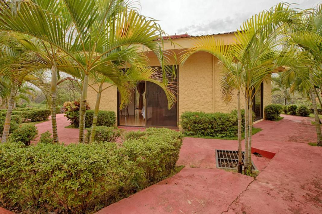 Vista Condor Lodge Puerto Viejo de Talamanca Eksteriør billede
